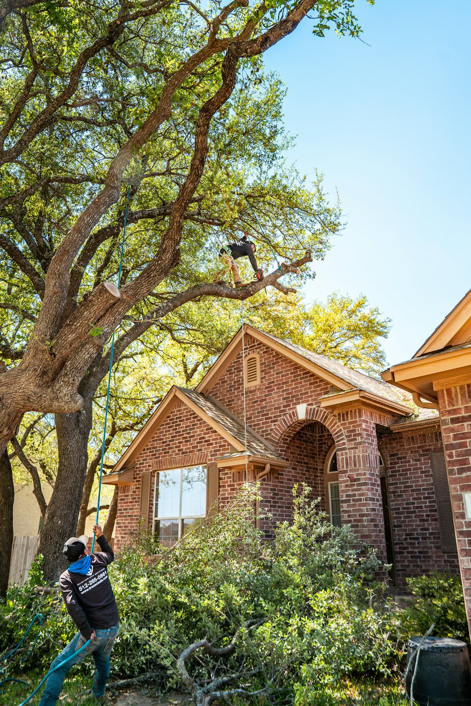 Two arborists trim tree branches outside a residential house.