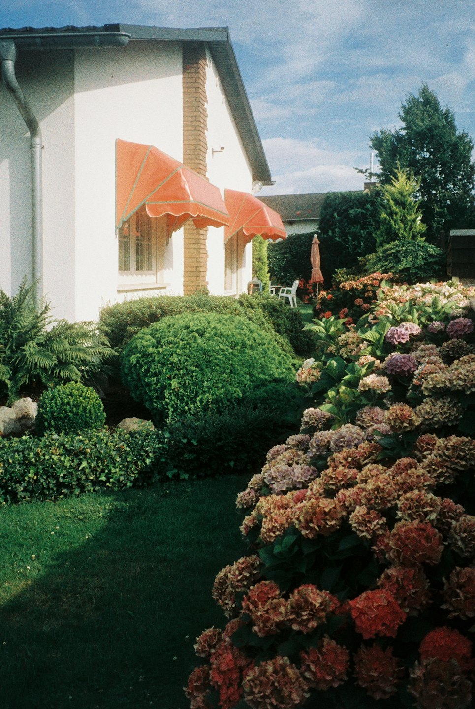 Suburban house with red awnings above windows viewed from a garden.